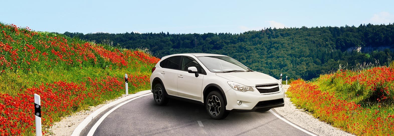 Truckee Auto Repair The Auto & Tire Doctor